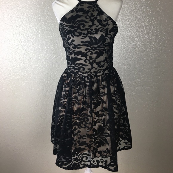 TOBI High Neck Fit & Flare Floral Lace Mini Dress - Picture 2 of 7